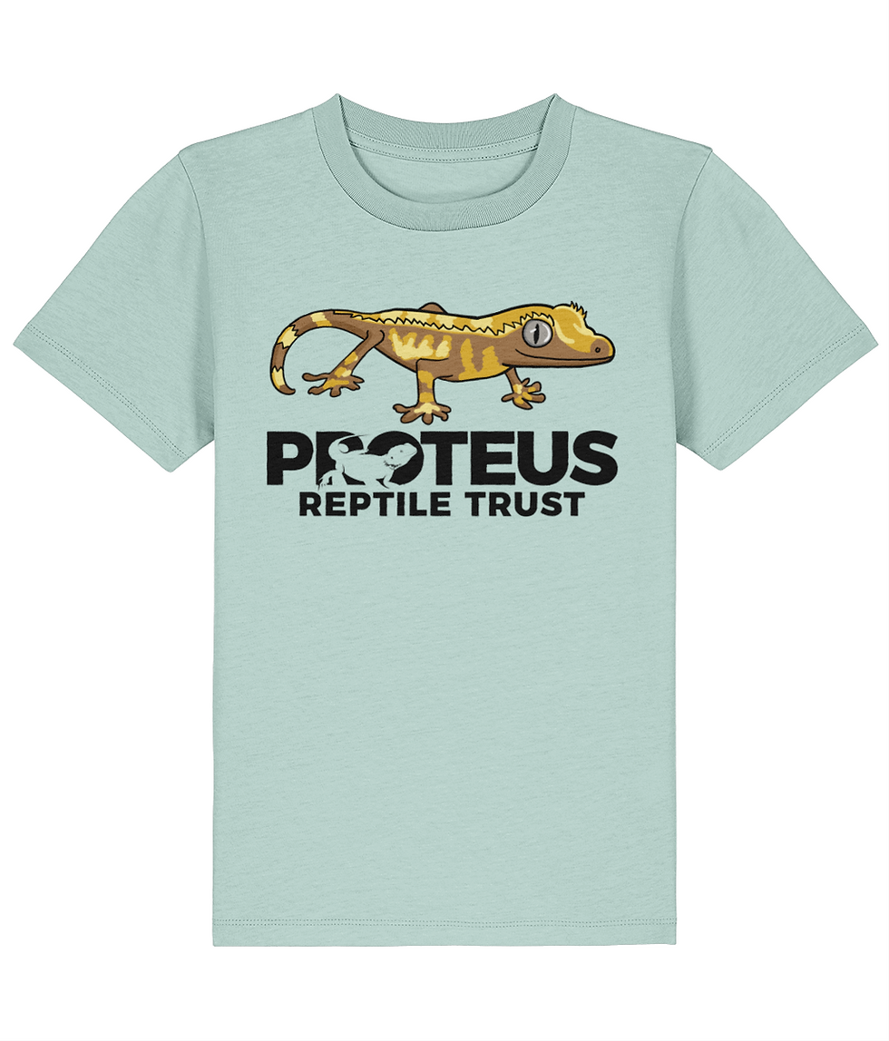 Thumbnail: Gecko & Logo T-shirt - Kids size