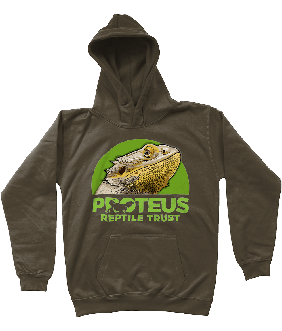 Thumbnail: Proteus Logo Hoodie - Kids size