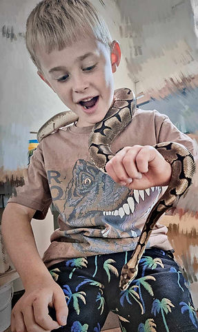 Thomas - Royal python_edited.jpg