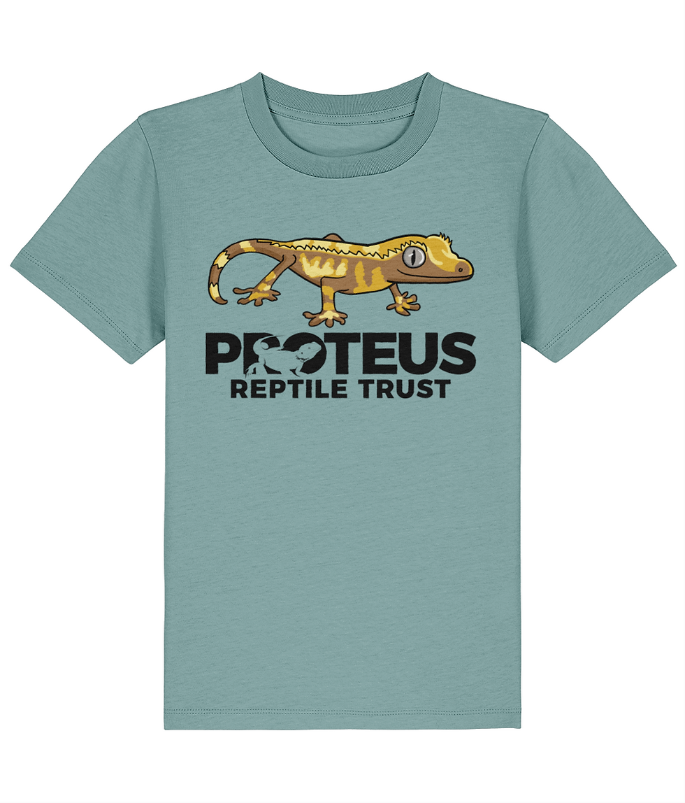 Thumbnail: Gecko & Logo T-shirt - Kids size