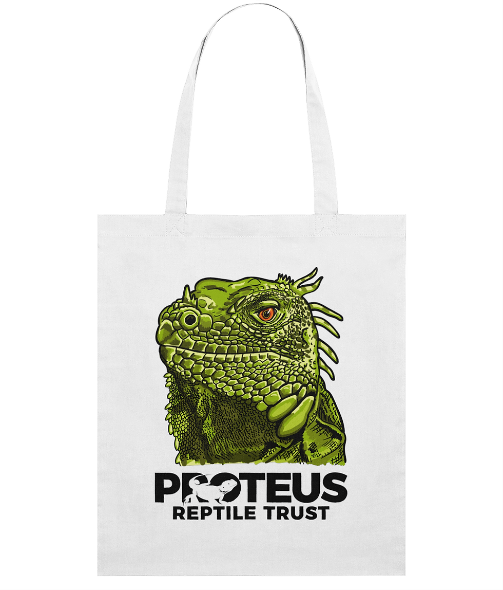 Thumbnail: Stanley/Stella Light Tote Bag Archie Silver Sponsorship - Light Tote Bag
