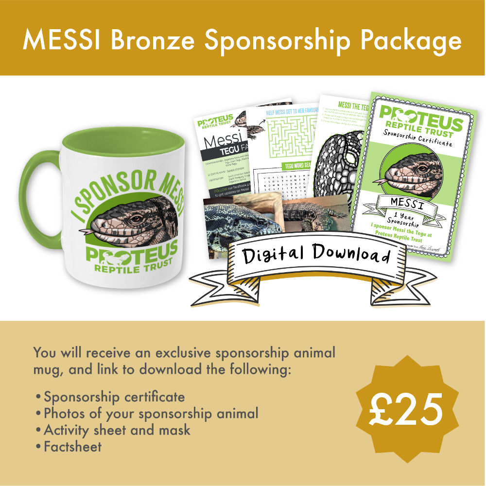 Two Toned Mug Messi Bronze Sponsorship - Mug