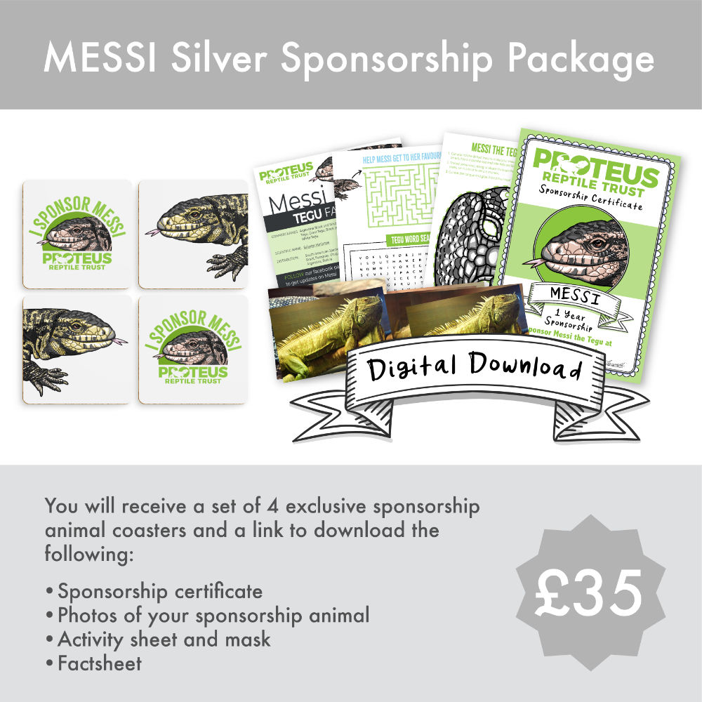 Pack of 4 Coasters Messi Silver Sponsorship - Coasters
