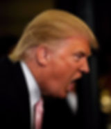 ree