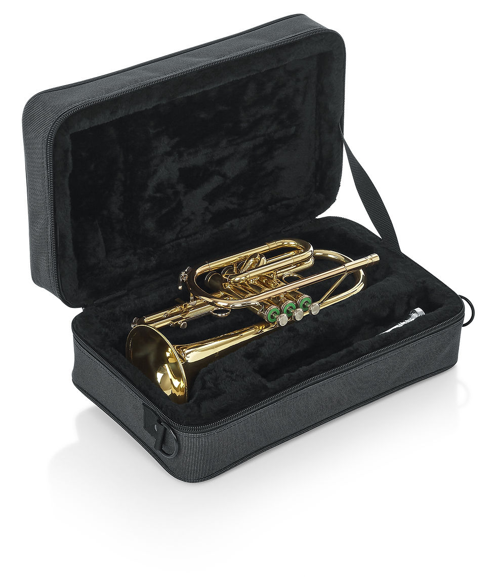 Thumbnail: Gator GL-CORNET-A Cornet Lightweight Case