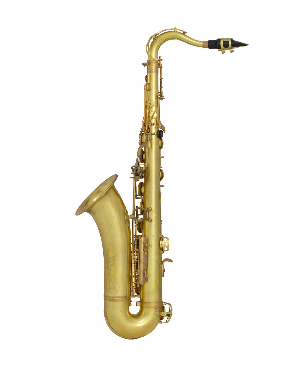 Thumbnail: SL T-802UL Student Tenor Saxophone