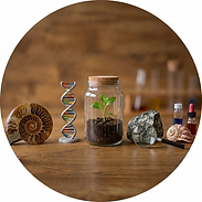 Sciences et Vie de la Terre