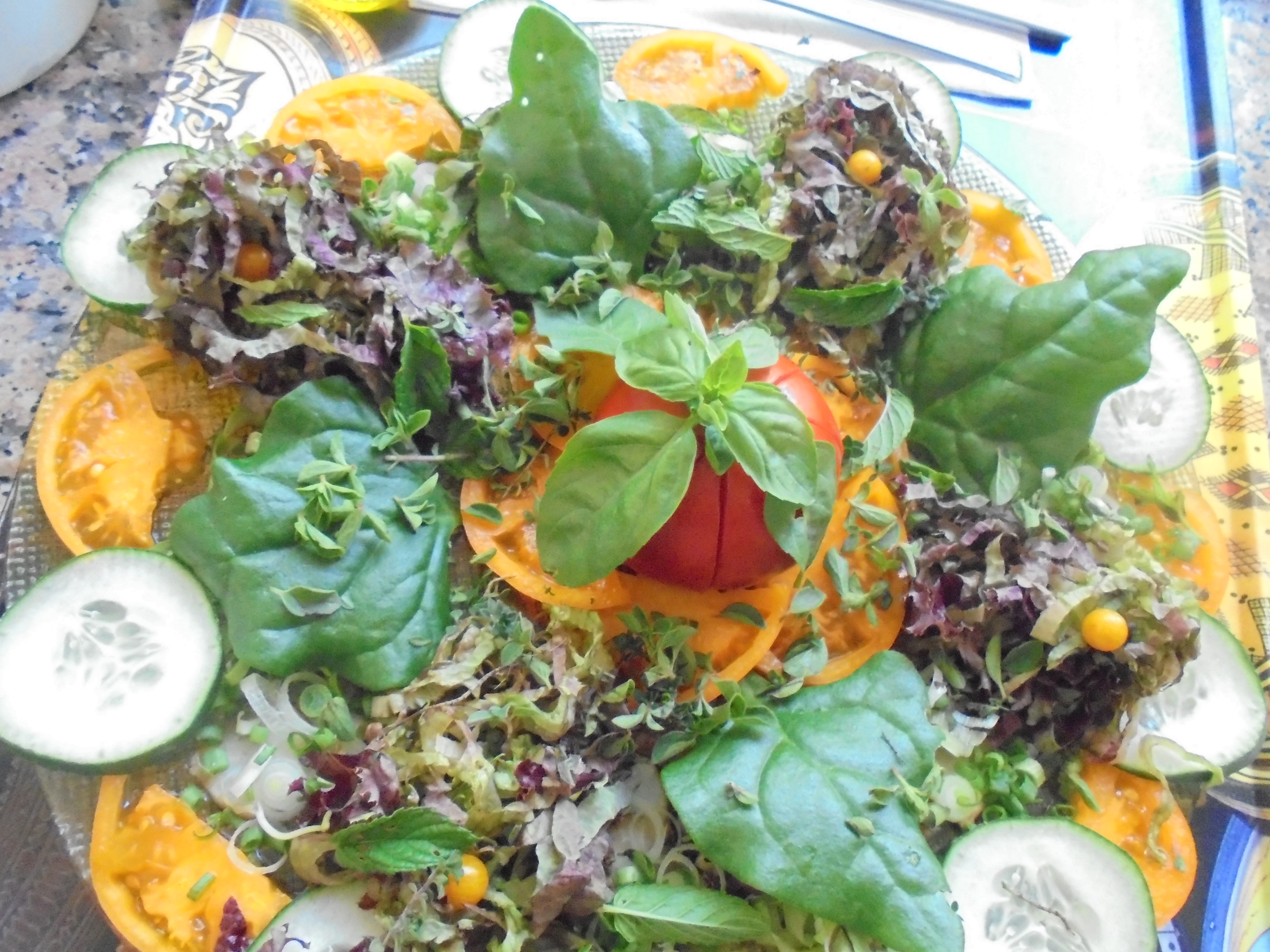 Home | woodland Health retreath