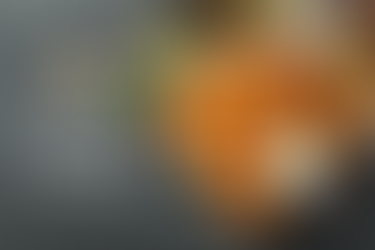 Grilling Shrimp for Beginners