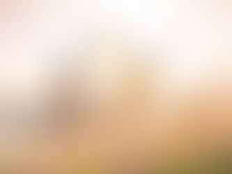 Notre monde intérieur en transformation