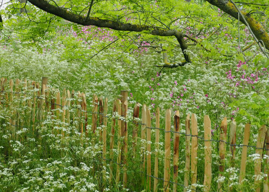 Staketenzaun, naturnahe Pflanzung, Gartenideen, Gartengestalung, Gartenarchitektur