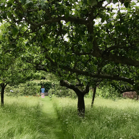 romantischer gemähter Weg Obstwiese, Garendesign, Gartenplanung, Gartenarchitektur, Gartenideen