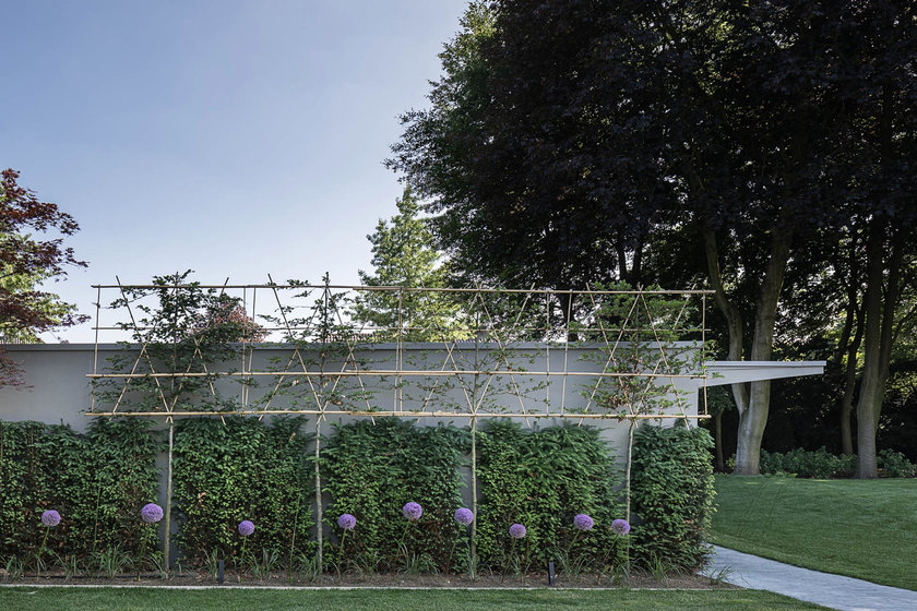 Spalierbäume, Sichtschutz, Gartenideen, Gartenplanung, Gartendesign, Hecke, Allium