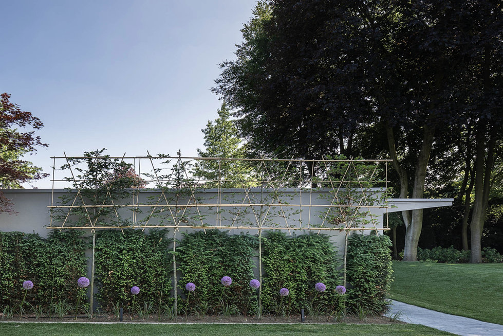 Spalierbäume, Sichtschutz, Gartenideen, Gartenplanung, Gartendesign, Hecke, Allium