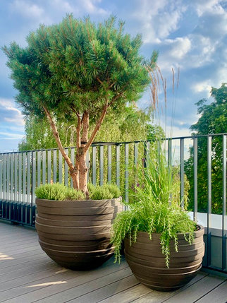 Terrassengestaltung mit Tontöpfen von Atelier Vierkant. Gartenarchitektur:Kiefer, Gräser und mediterrande Kräuter