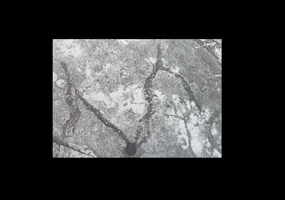 deux tracés gravure d3.jpg