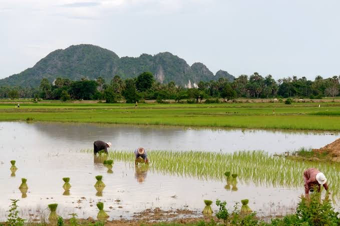 Cambodia Motorbike Tours