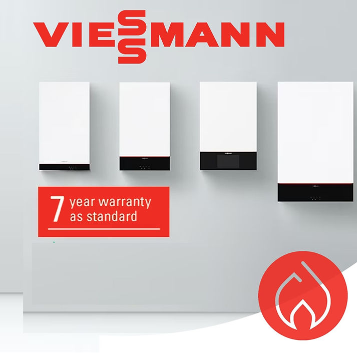 VIESSMAN GAS_edited.jpg