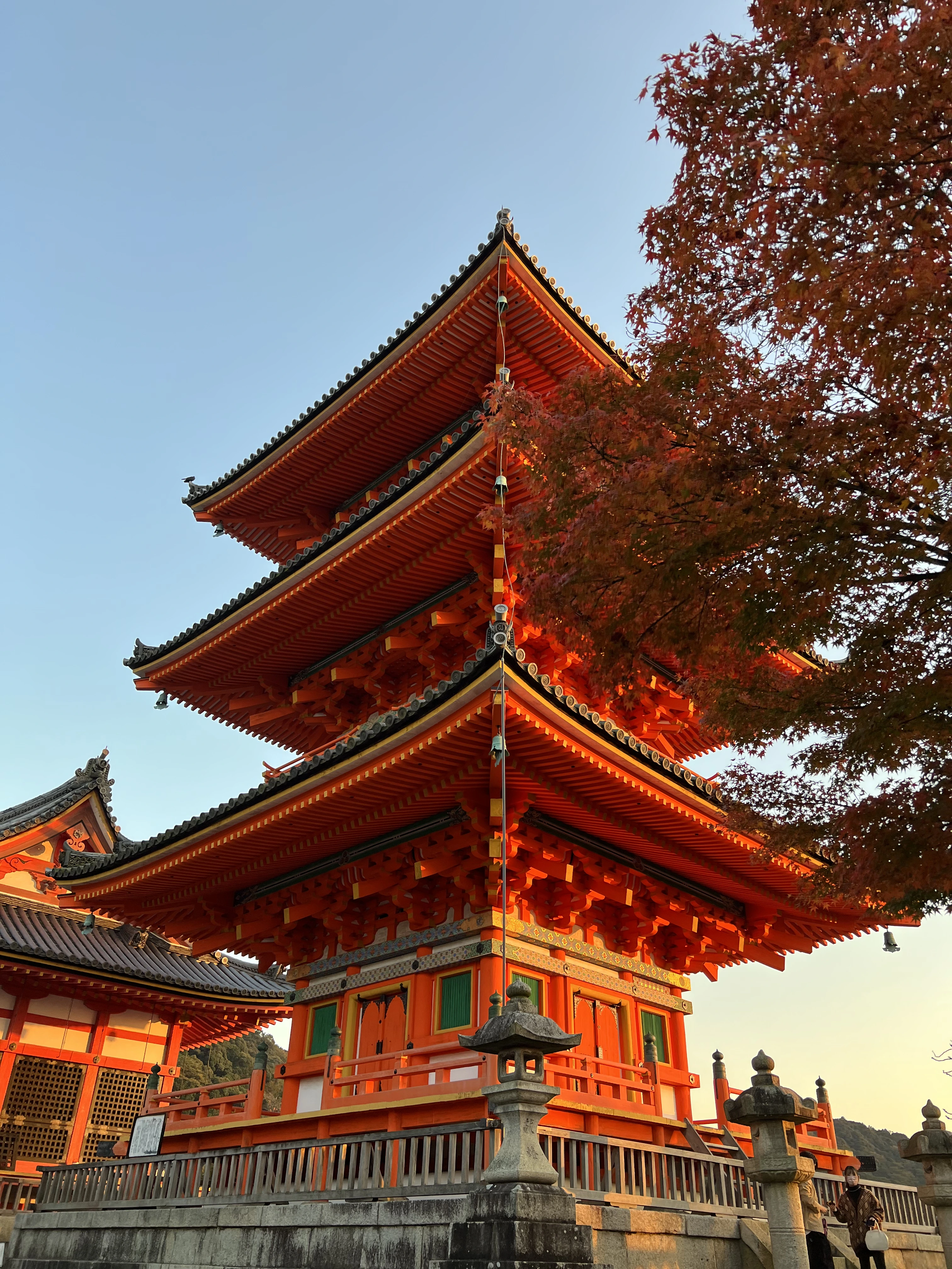Traditional Japanese pagoda surrounded by autumn leaves.