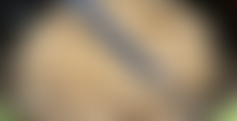 Soba Nooodles: a traditional food for the end of the year.