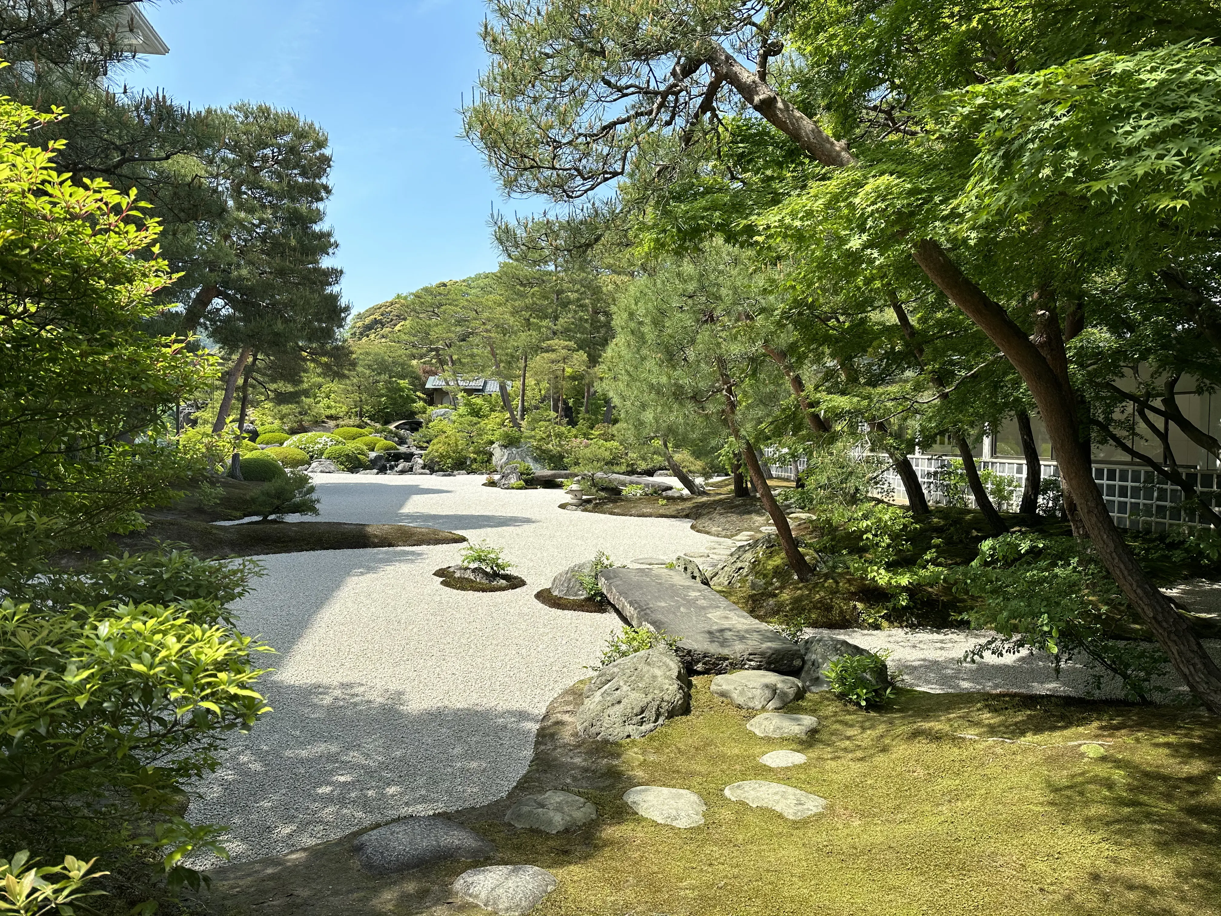 Traditional Japanese garden in spring with gravel paths, moss, stones, and lush green trees under clear blue skies.