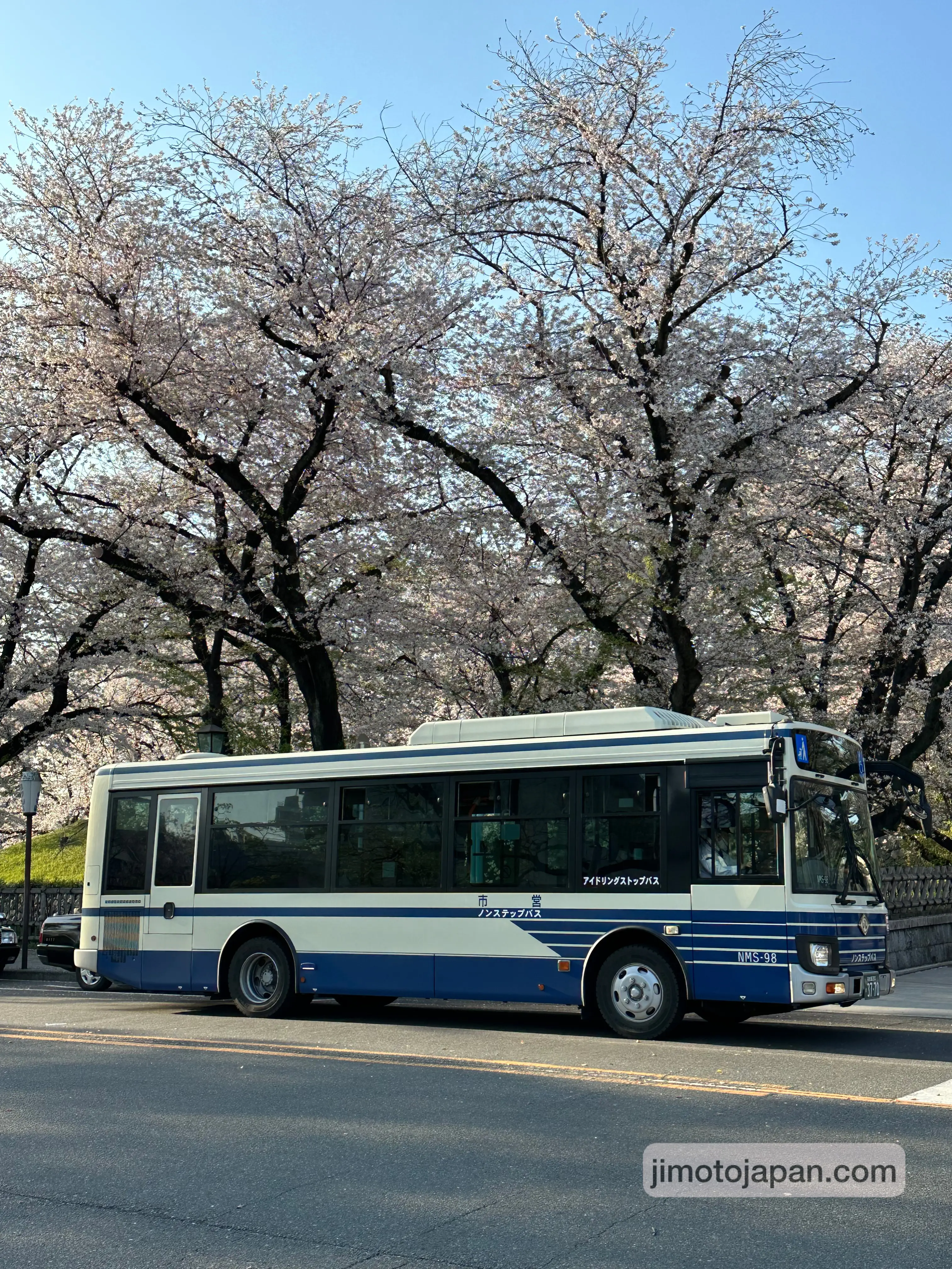 City bus in Japan during cherry blossom season, showing affordable public transportation in everyday life