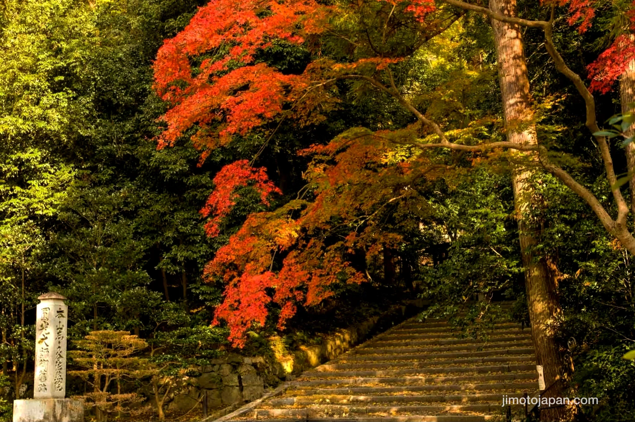 Philosopher's Path in Kyoto, Japan. Autumn.