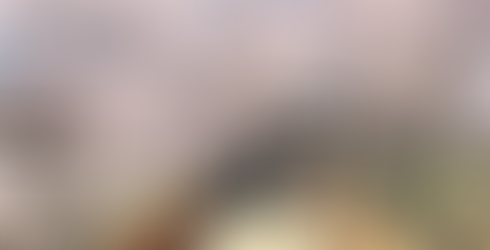 Cherry Blossom in Takato-jo. Sakura season in Takato Castle, Nagano, Japan