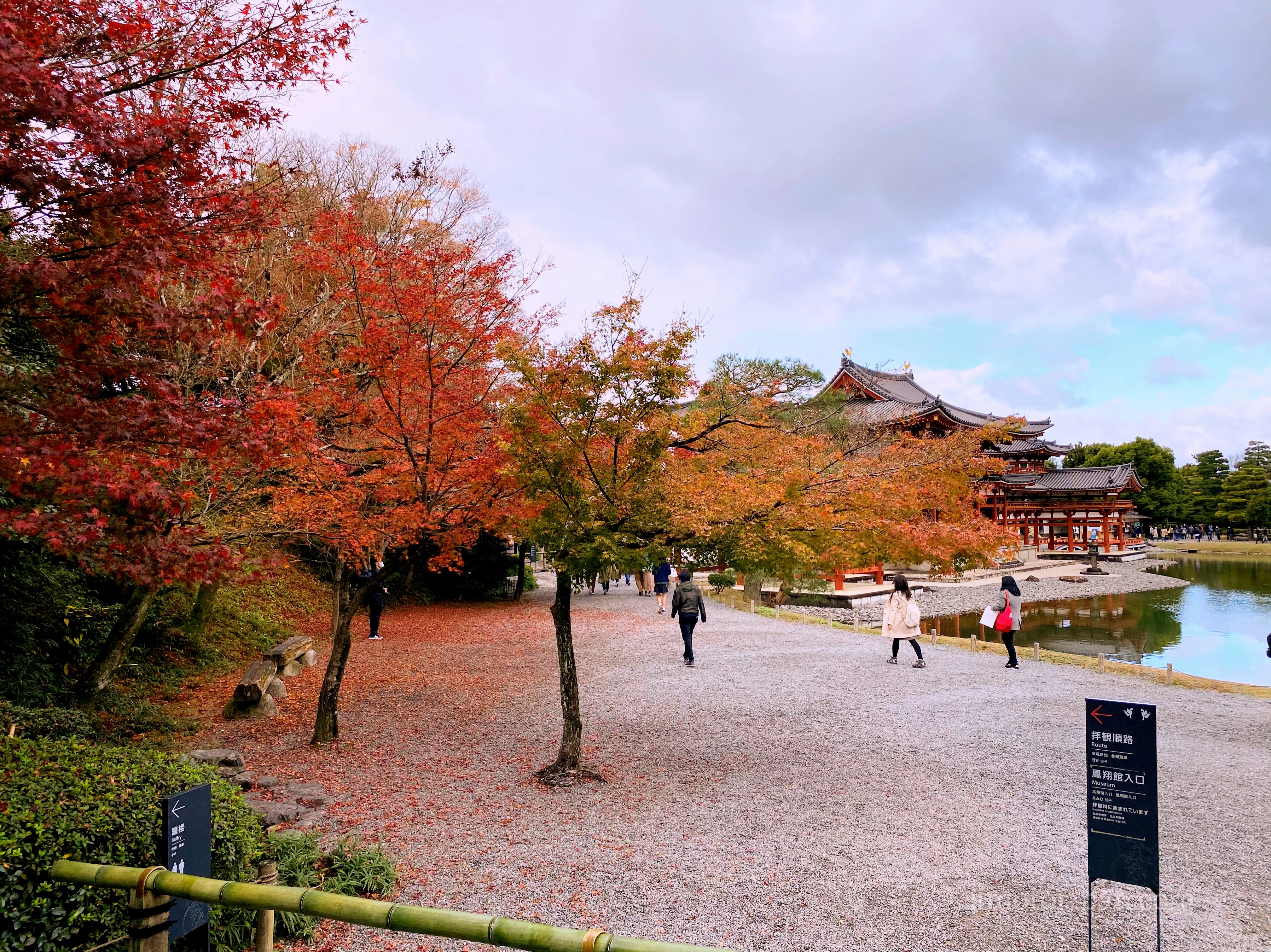 Byodoin Temple in Kyoto, Japan. Autumn.