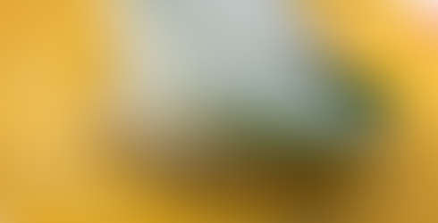 Sushi: a traditional food for the first day of the year.