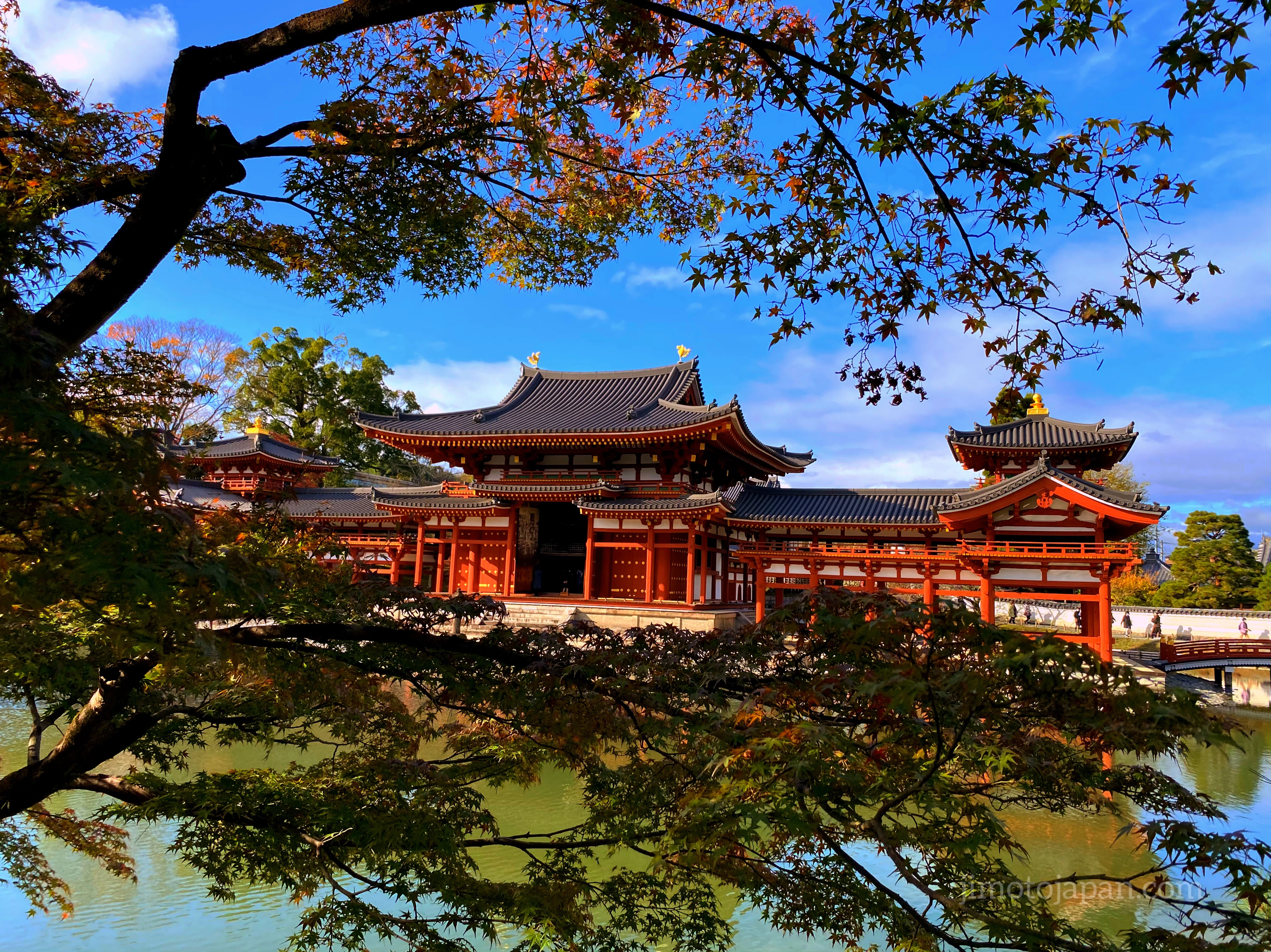 Byodoin Temple in Kyoto, Japan. Autumn.
