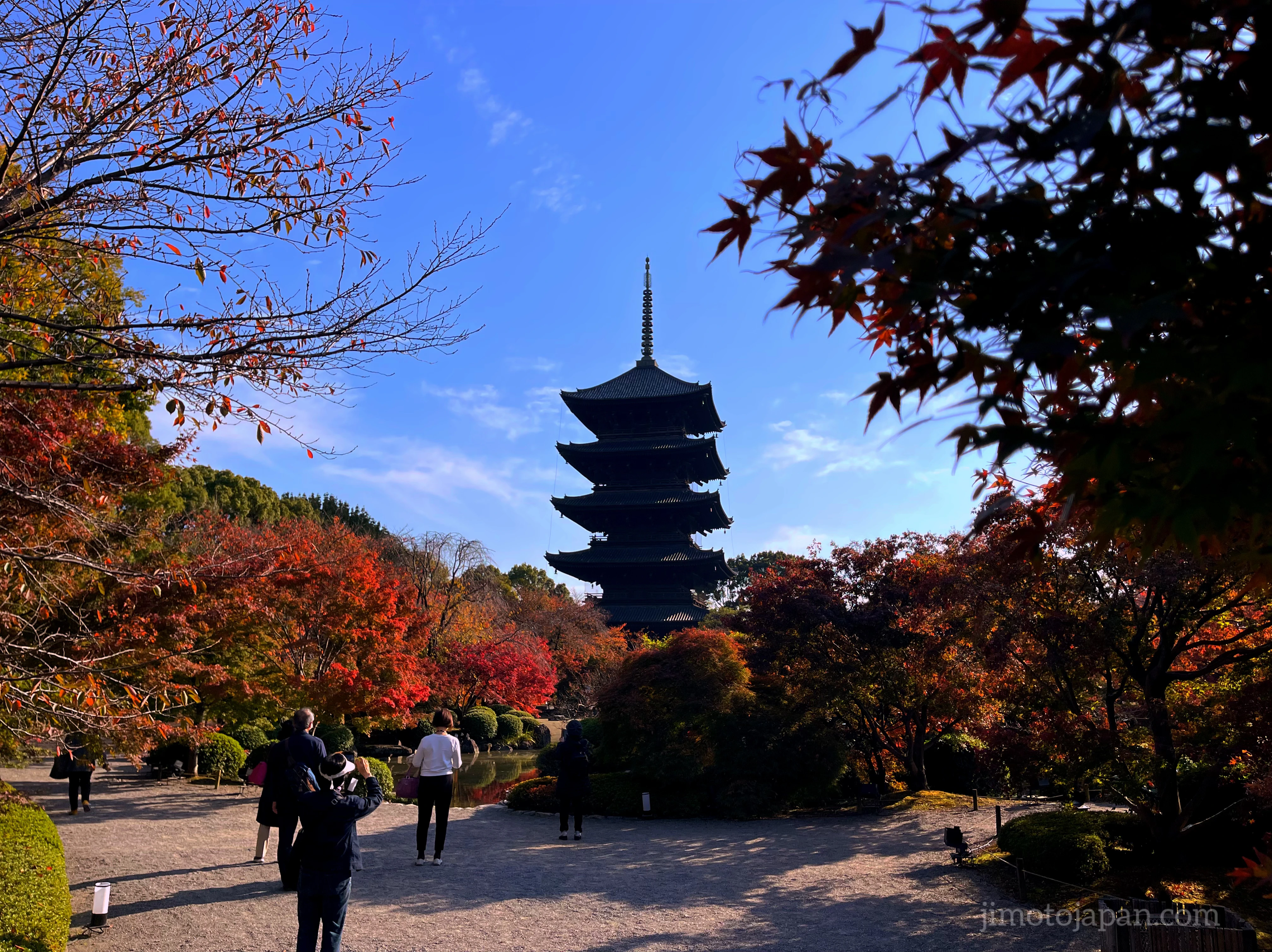 Toji Temple Autumn Foliage in Japan
