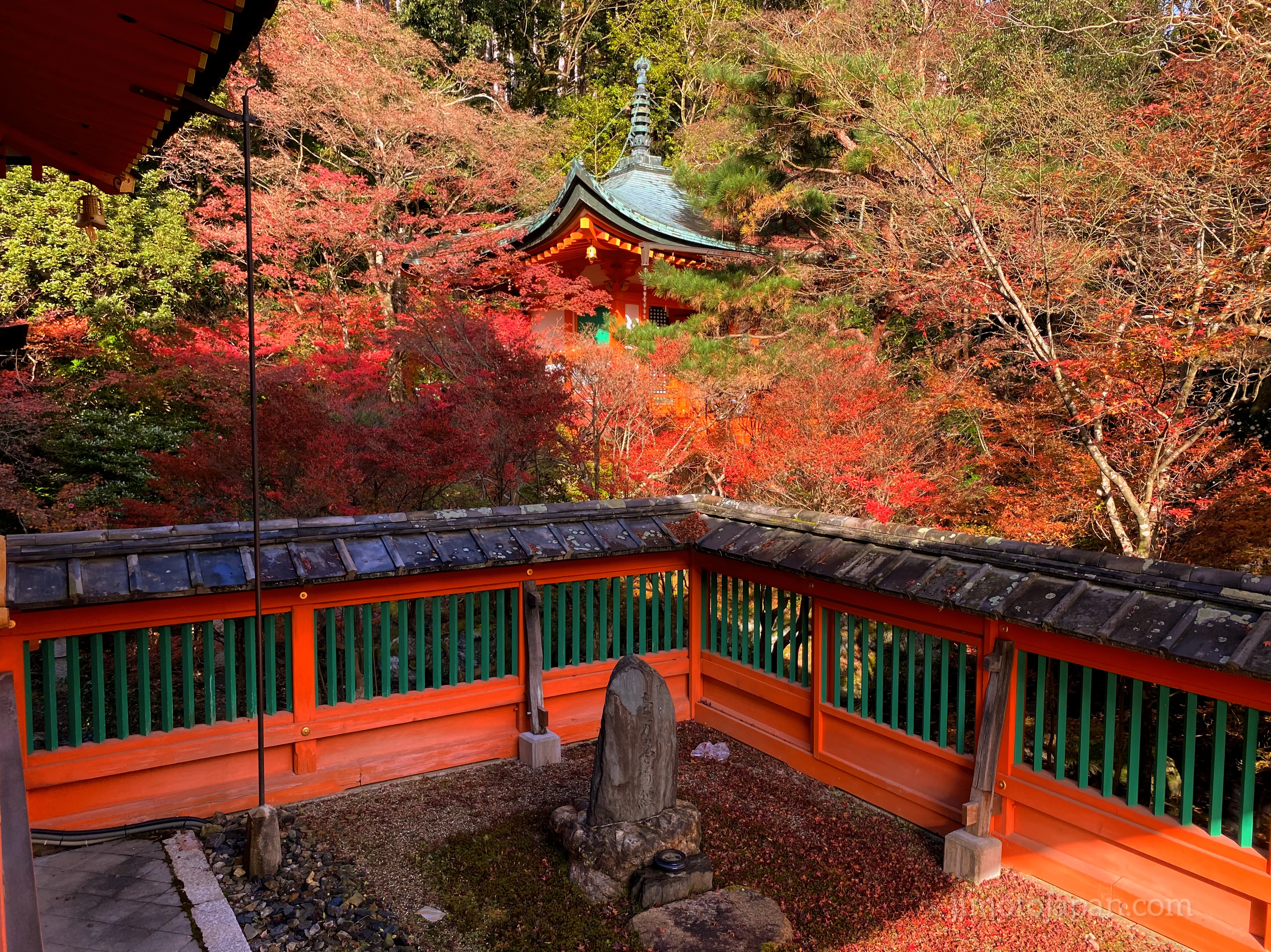 autumn in Japan experience