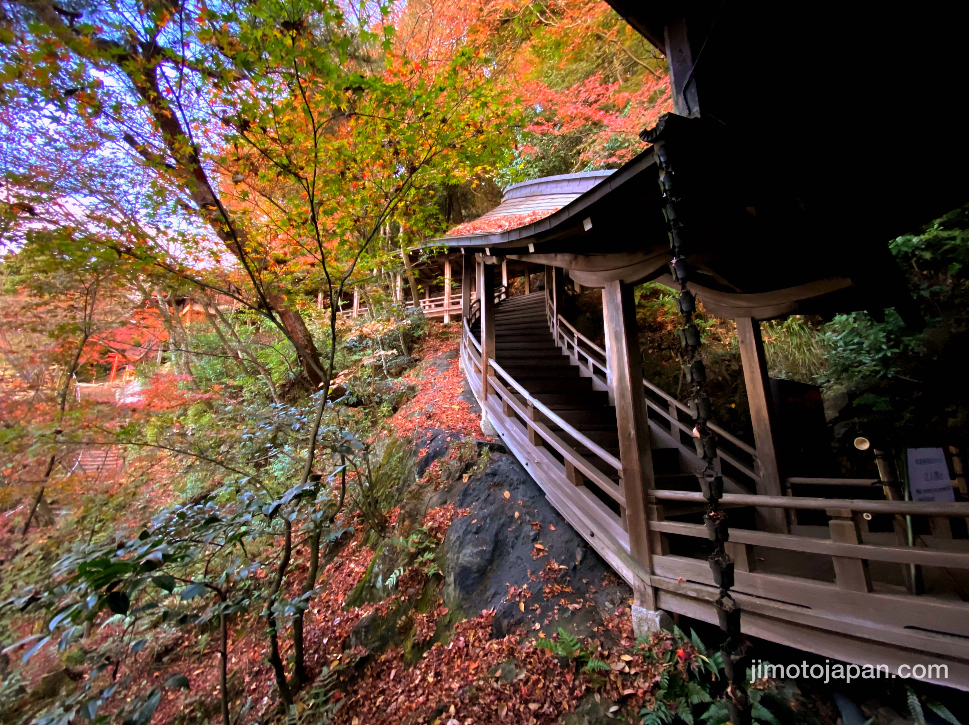 Eikando Temple in Kyoto, Japan. Autumn.