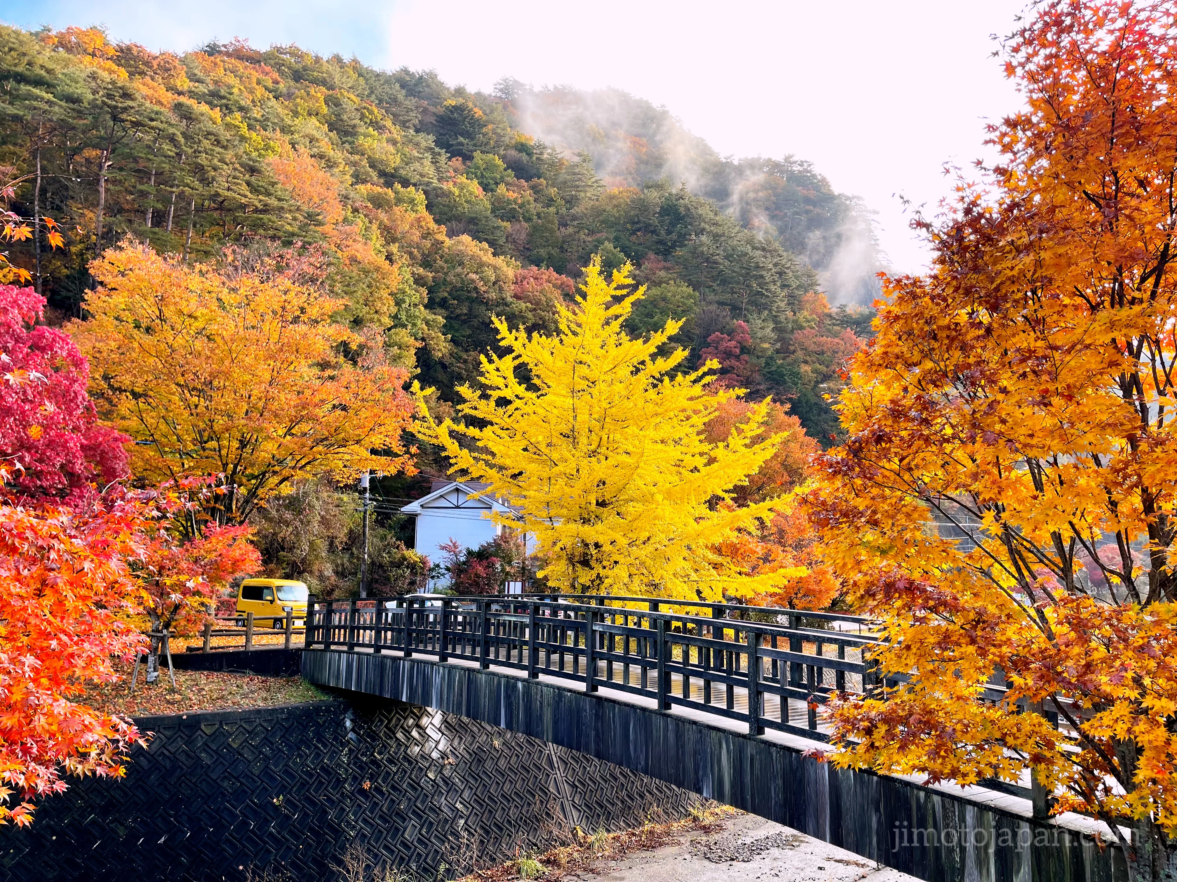 autumn in Japan