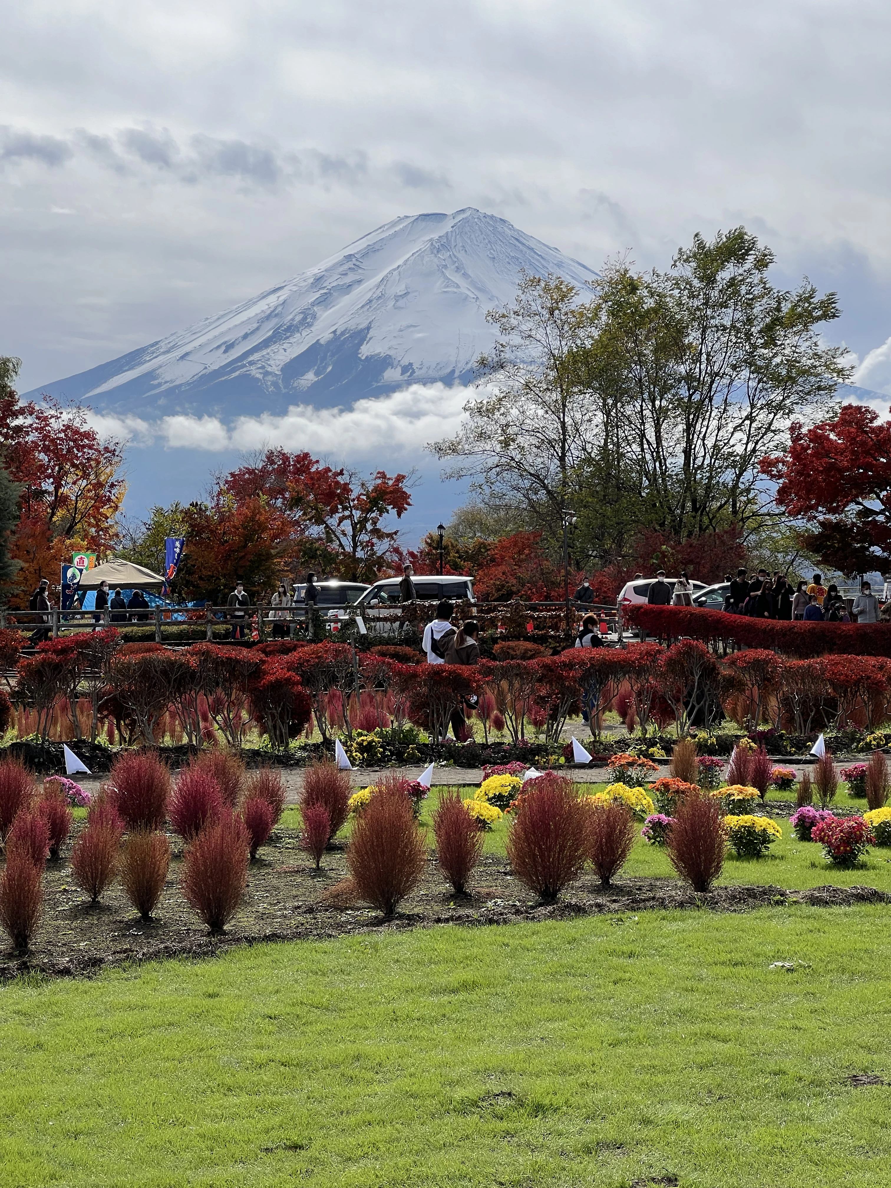 Mount Fuji surrounded by autumn foliage in Japan.