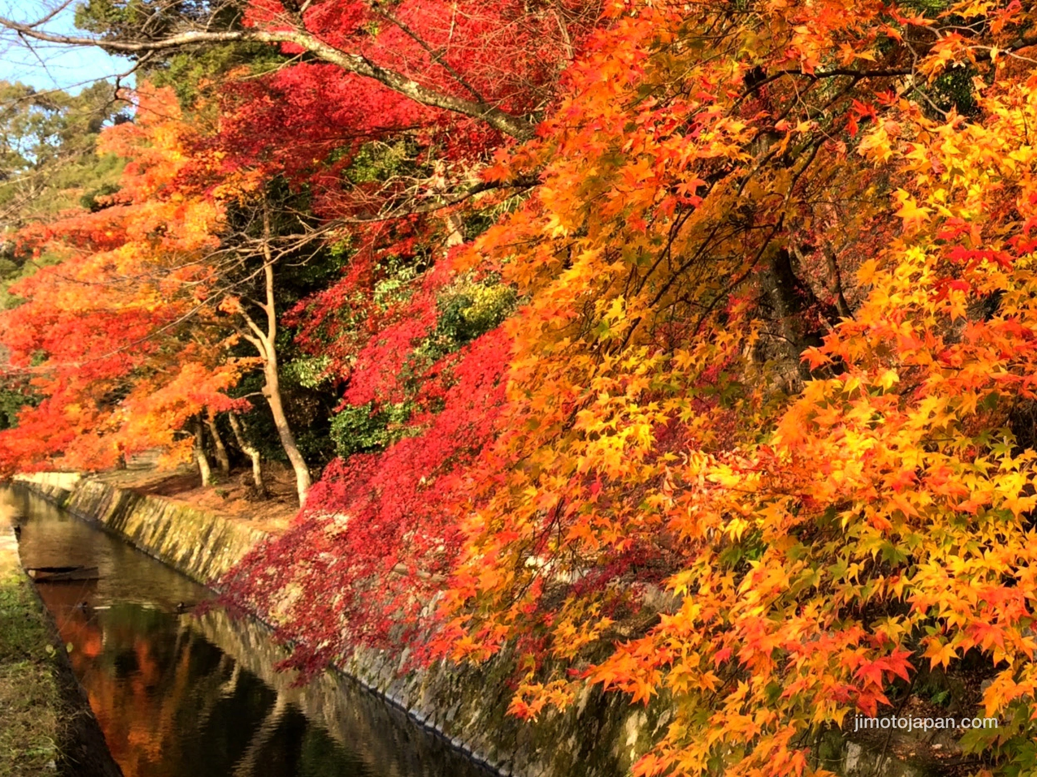 Philosopher's Path in Kyoto, Japan. Autumn.