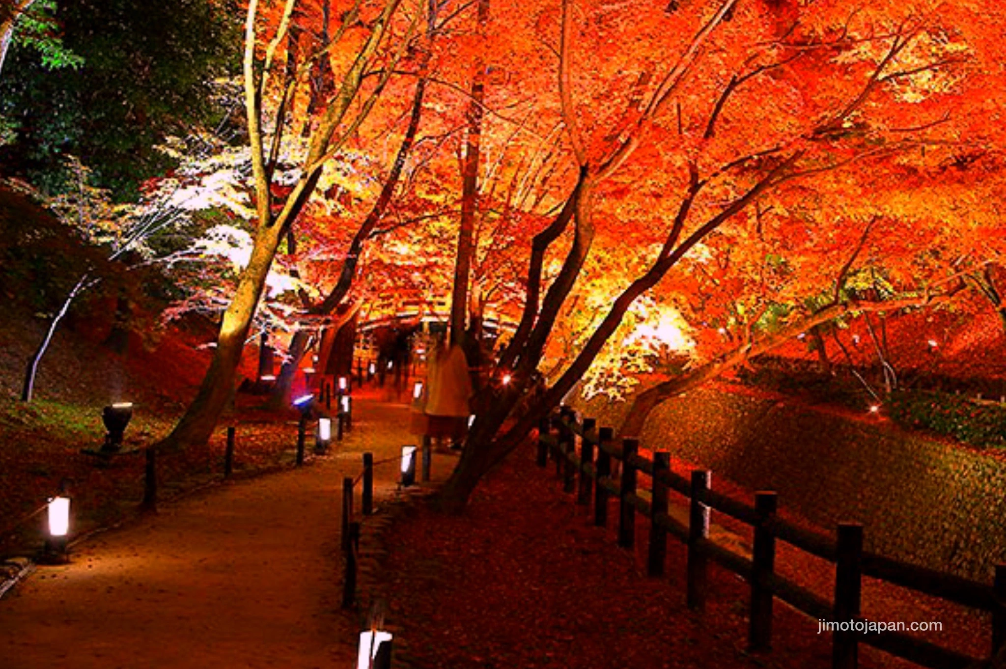 Tofukuji Temple in Kyoto, Japan. Autumn.