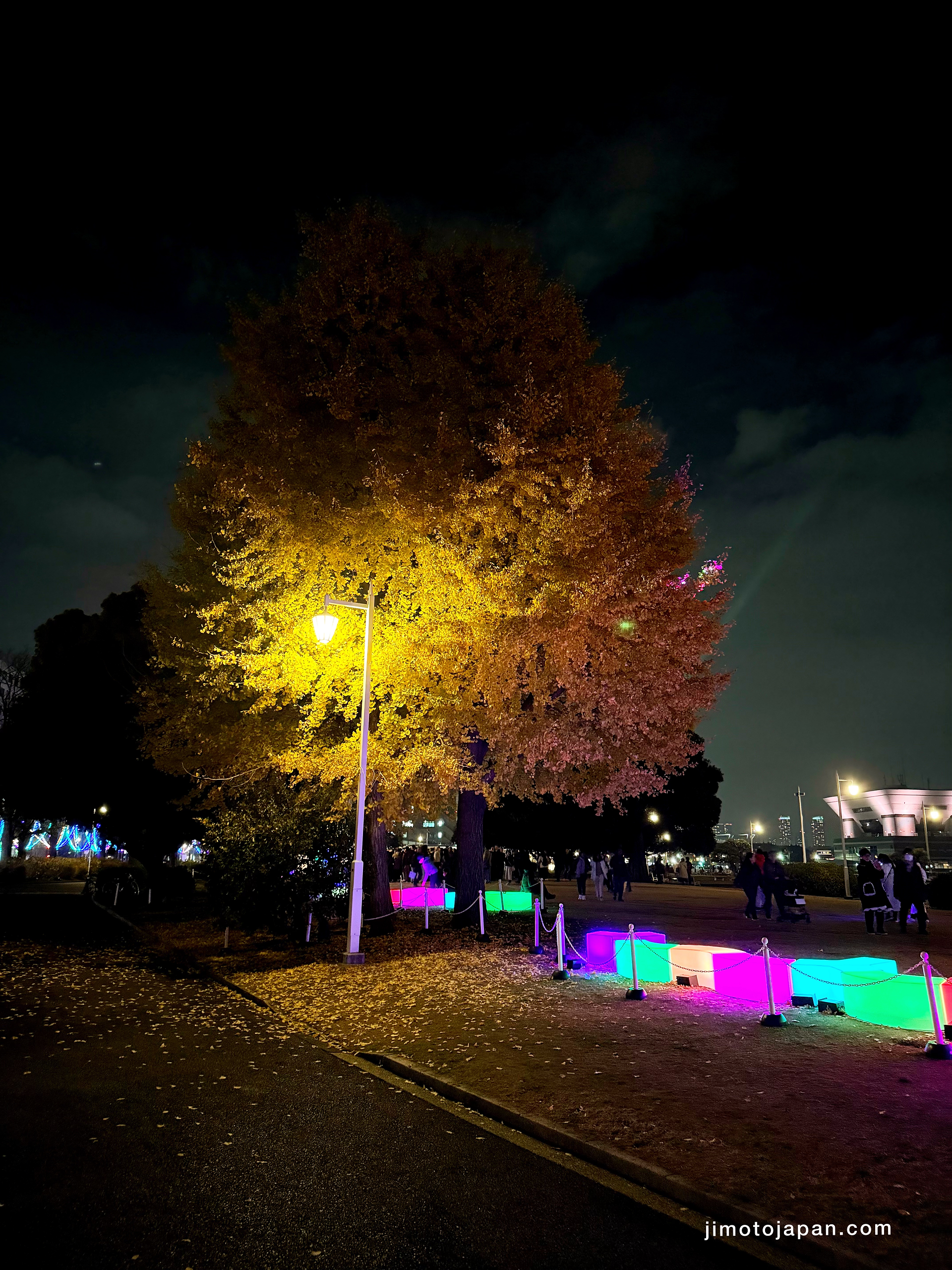 Yamashita Park in Yokohama illumination at night.