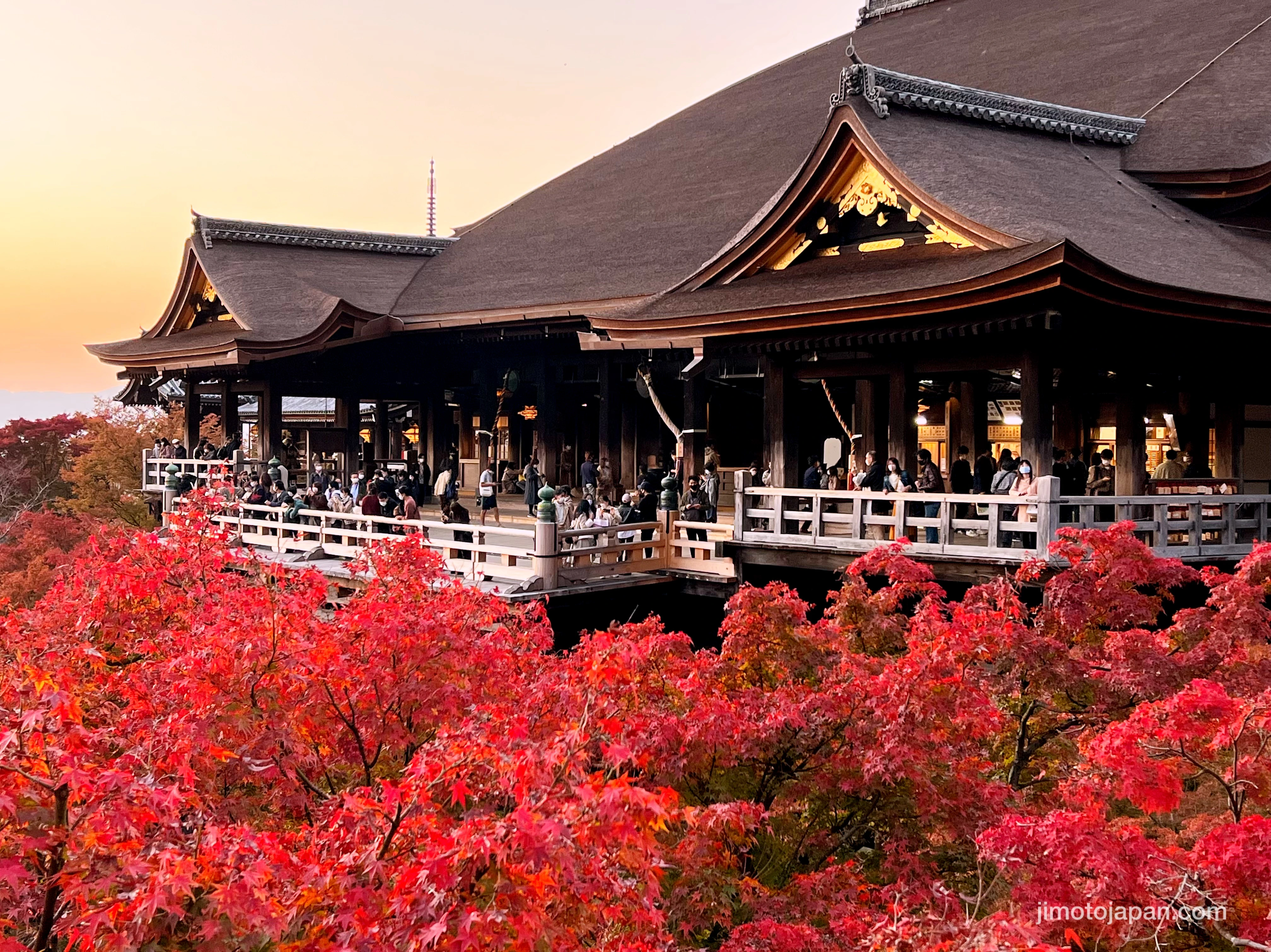 Kiyomizu-dera autumn foliage