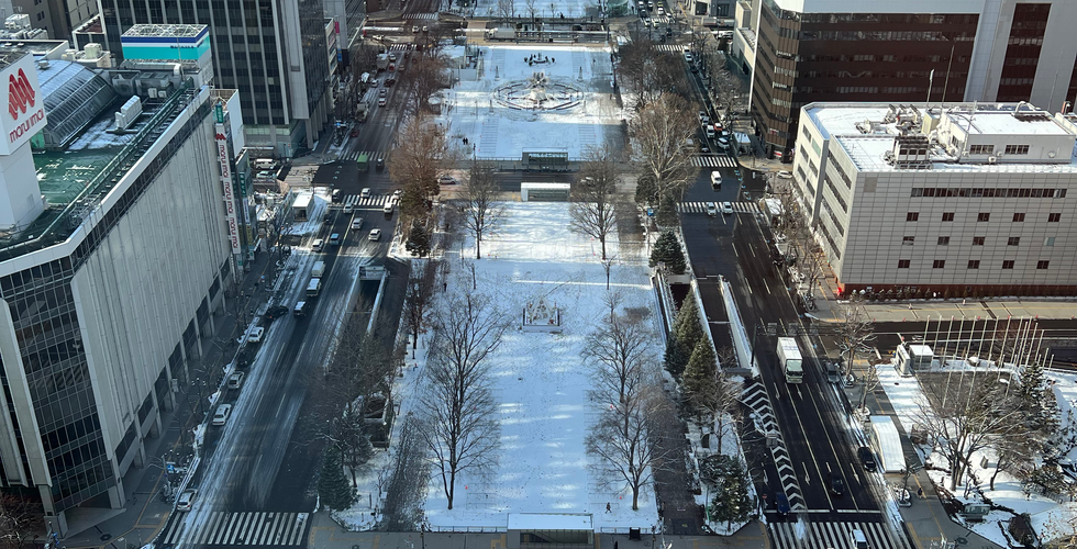Odori park view from Tower. This view is from Sapporo Tower.