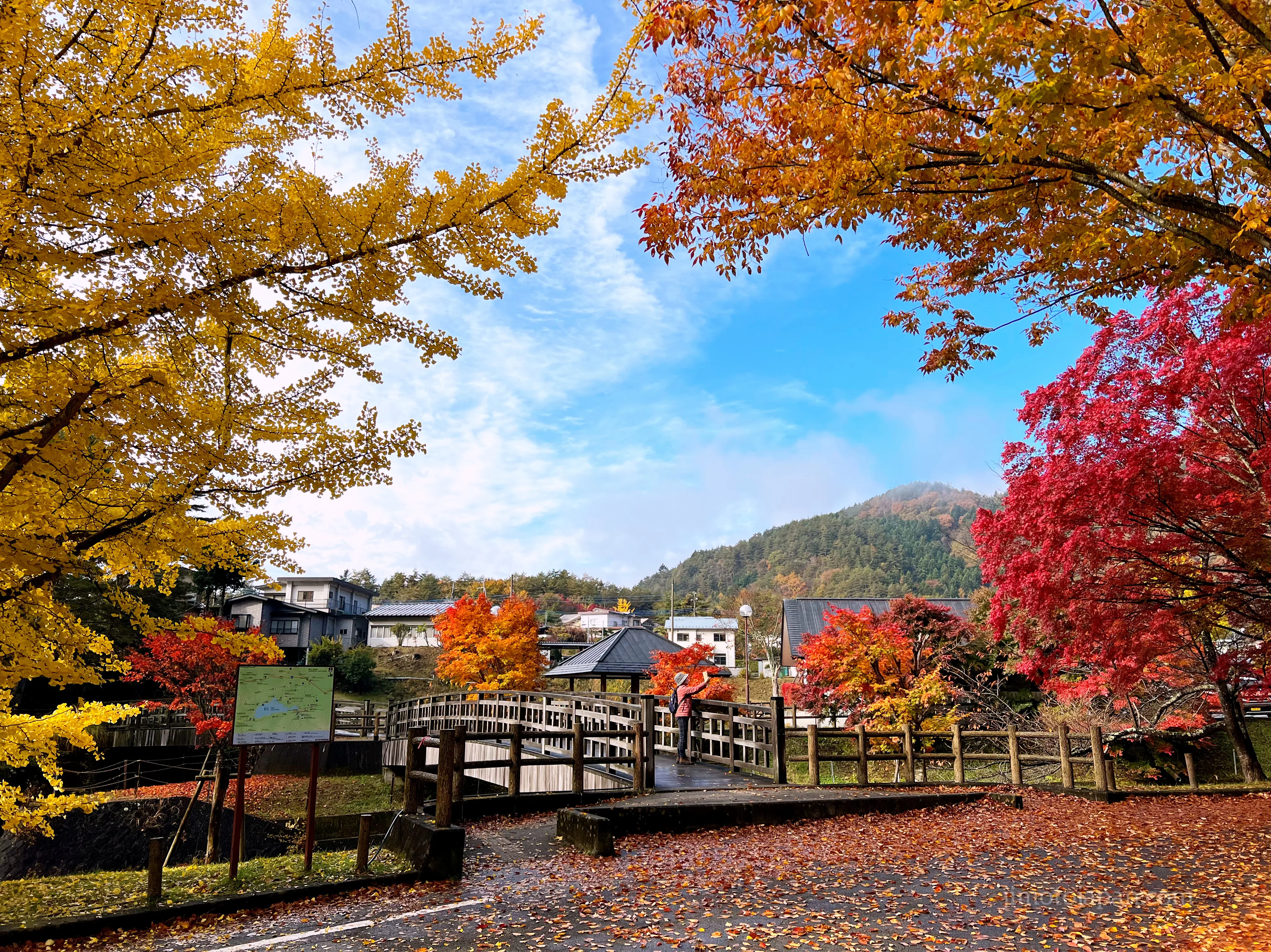 autumn in Japan