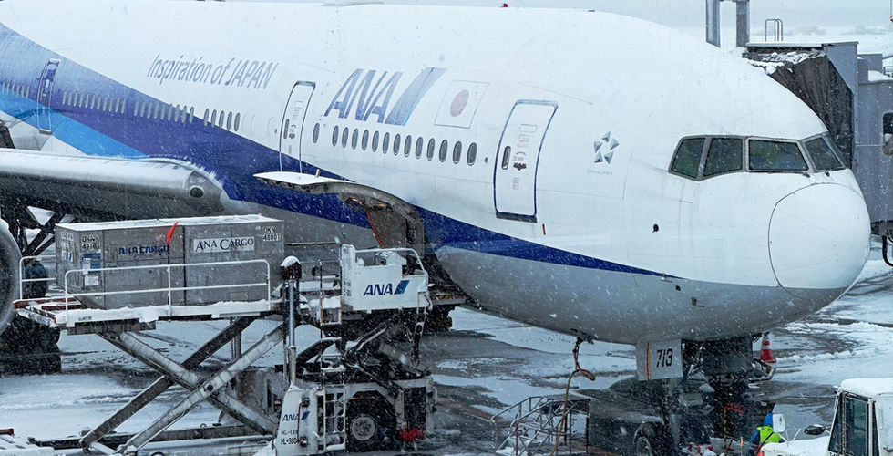 ANA plane landed in Sapporo. All Nippon Airways plane landed in New Chitose airport.