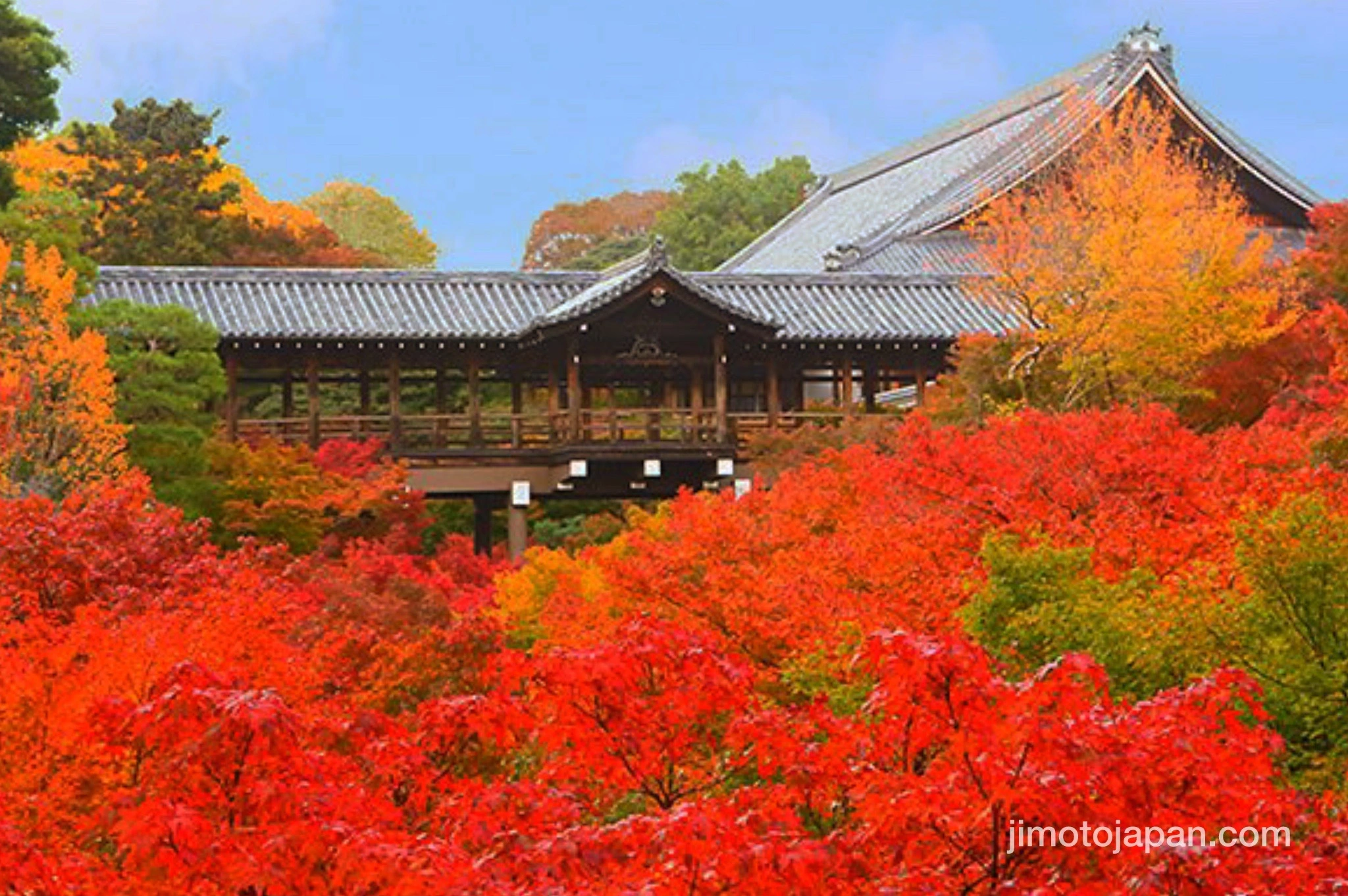 Tofukuji Temple in Kyoto, Japan. Autumn.