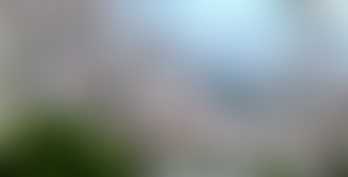 Cherry Blossom in Philosopher's Path. Sakura season at Philosopher's Path, Kyoto, Japan