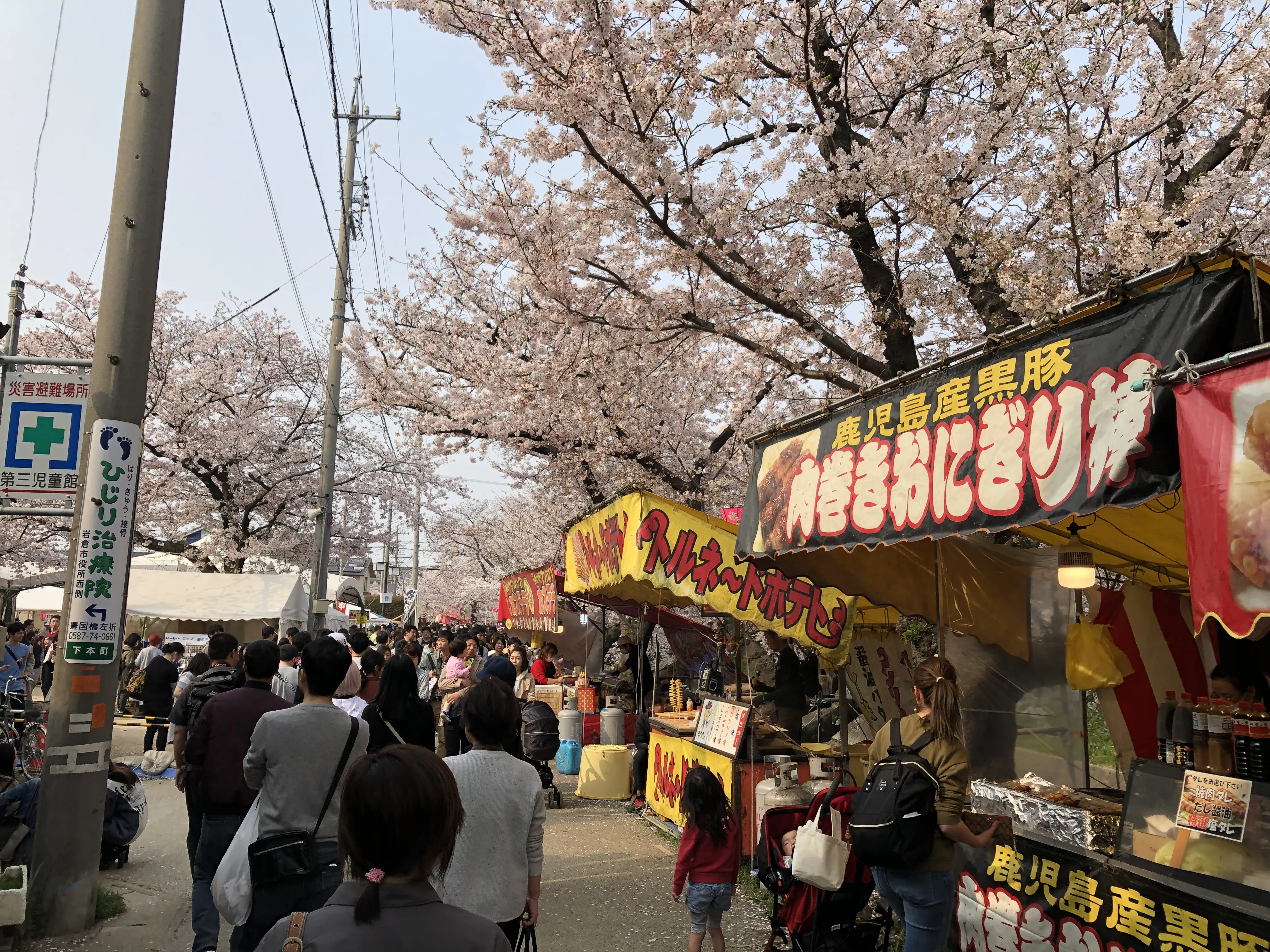 Crowded cherry blossom festival street in Japan during spring, with food stalls, locals, and visitors walking beneath blooming sakura trees.