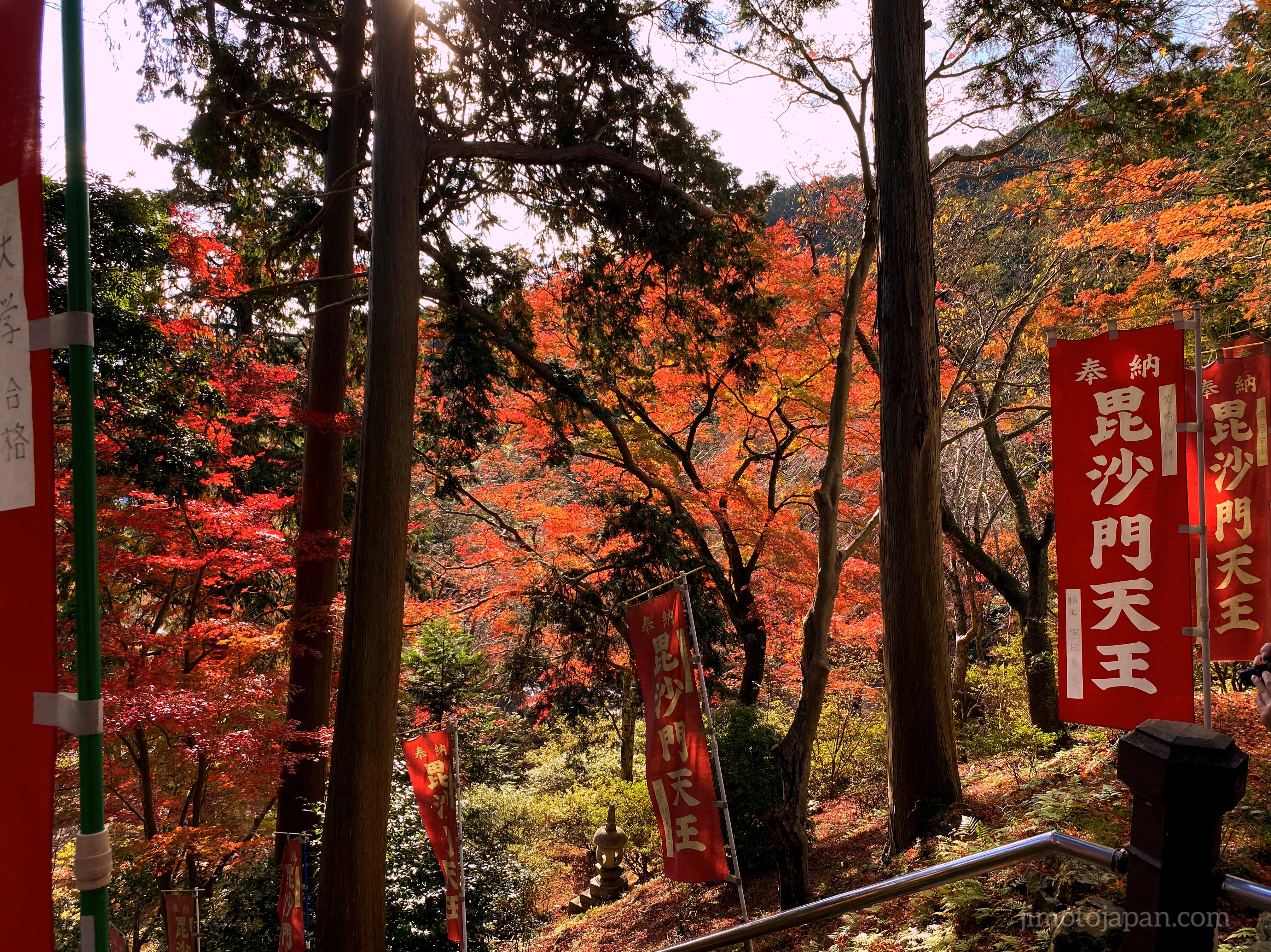 autumn in Japan experience