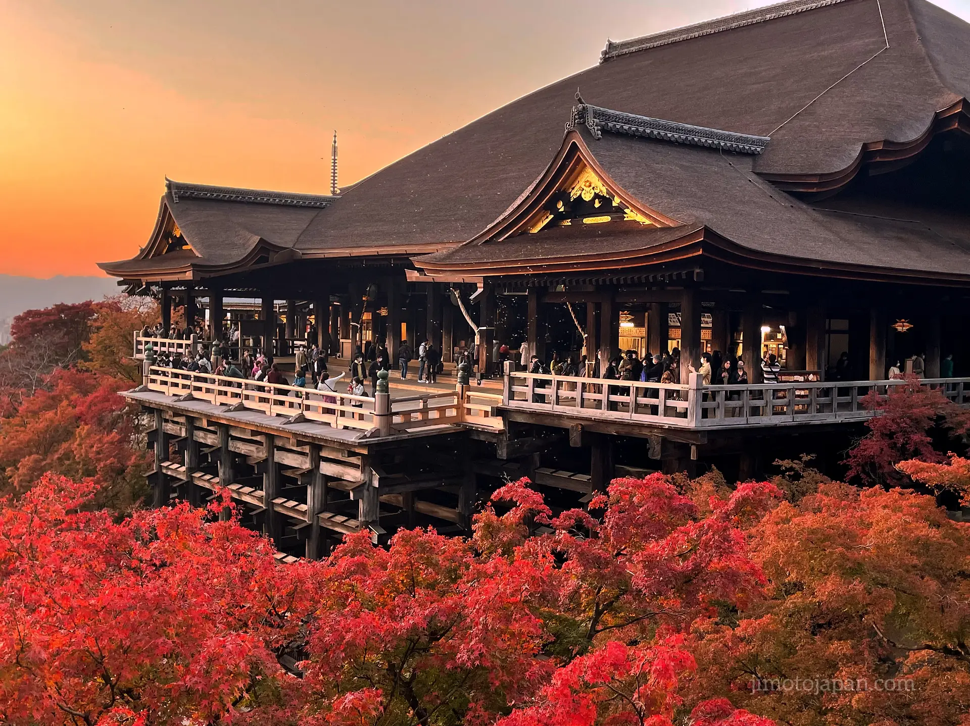 autumn in Japan experience