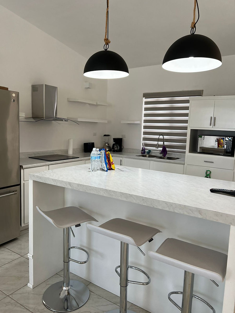 Miniatura: Casa en San Carlos