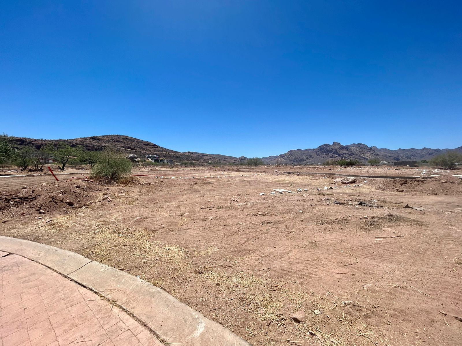 San Carlos Xurea